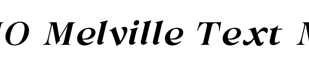 FSP DEMO Melville Text Med Italic