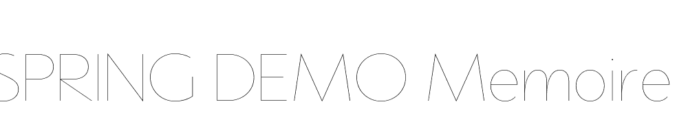  DEMO Memoire Regular