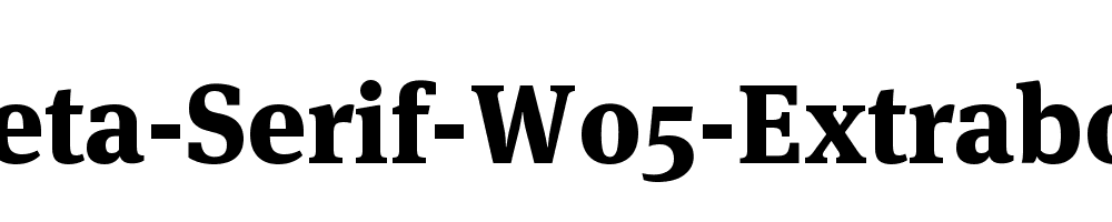 Meta-Serif-W05-Extrabold