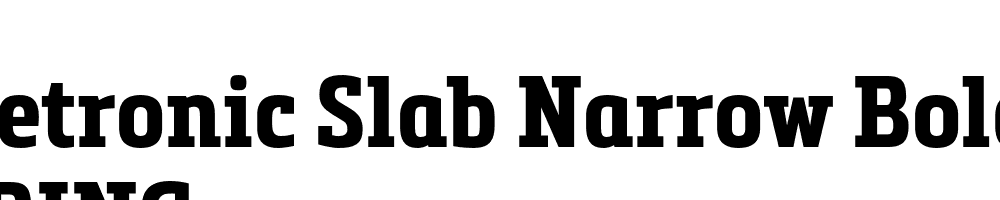  DEMO Metronic Slab Narrow Bold Regular