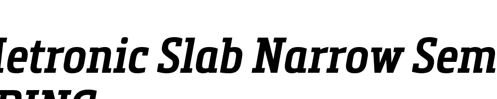  DEMO Metronic Slab Narrow SemiBold Italic