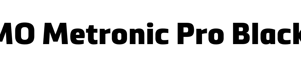 FSP DEMO Metronic Pro Black Regular