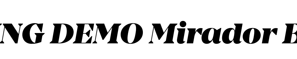  DEMO Mirador Black Italic