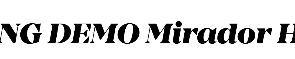  DEMO Mirador Heavy Italic