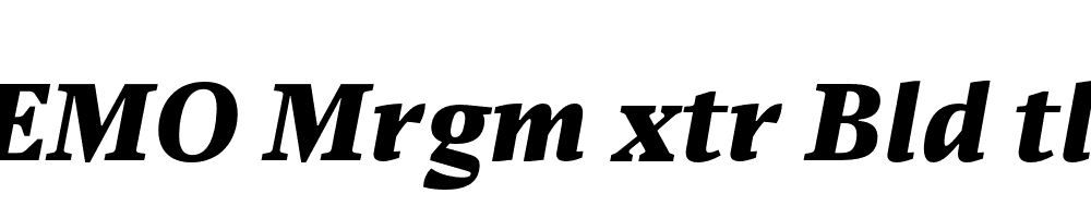 FSP DEMO Mrgm xtr Bld tlc Italic