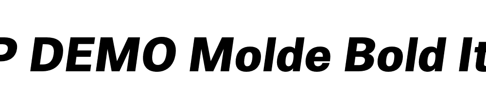 FSP DEMO Molde Bold Italic