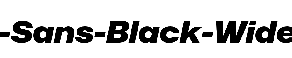 Mona-Sans-Black-Wide-Italic