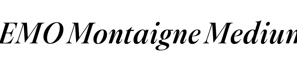 FSP DEMO Montaigne Medium Italic