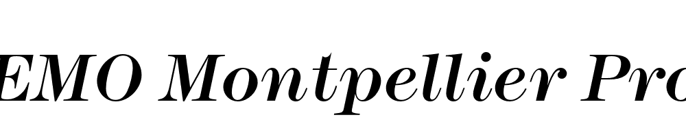 FSP DEMO Montpellier Pro Italic