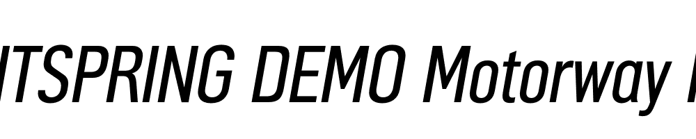  DEMO Motorway Italic