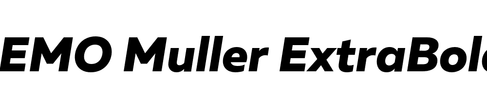 FSP DEMO Muller ExtraBold Italic