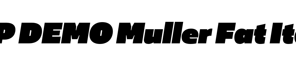 FSP DEMO Muller Fat Italic