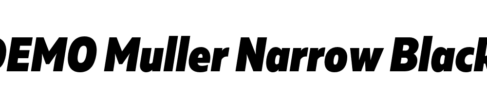 FSP DEMO Muller Narrow Black Italic