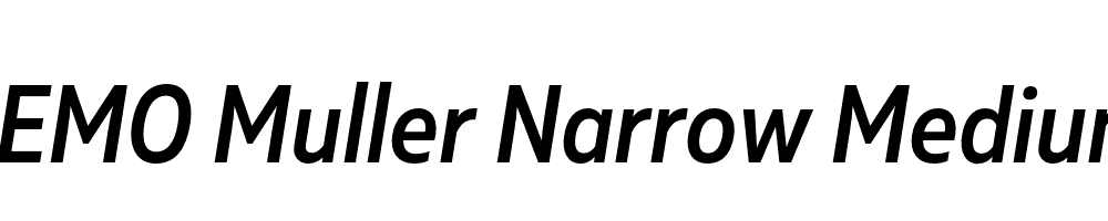 FSP DEMO Muller Narrow Medium Italic