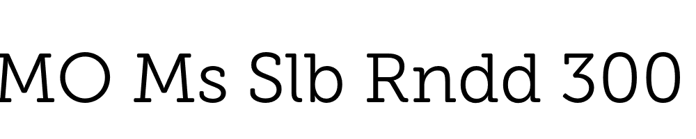 FSP DEMO Ms Slb Rndd 300 Regular