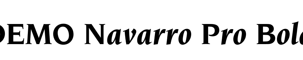 FSP DEMO Navarro Pro Bold Italic