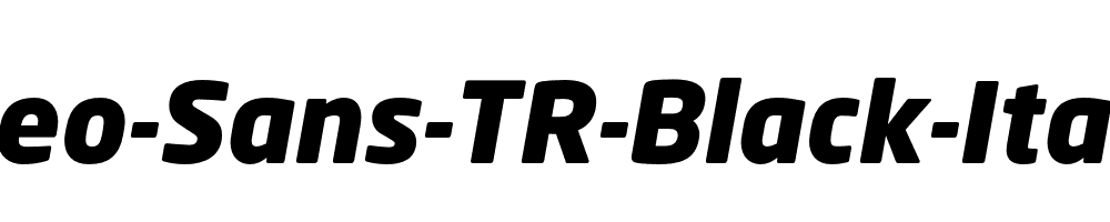 Neo-Sans-TR-Black-Italic