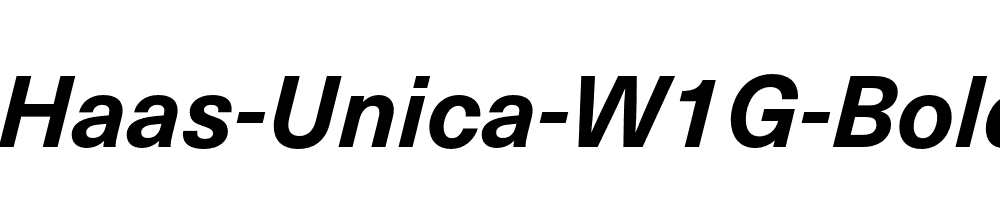 Neue-Haas-Unica-W1G-Bold-Italic