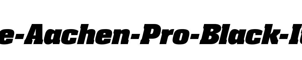 Neue-Aachen-Pro-Black-Italic