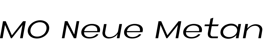 FSP DEMO Neue Metana Italic