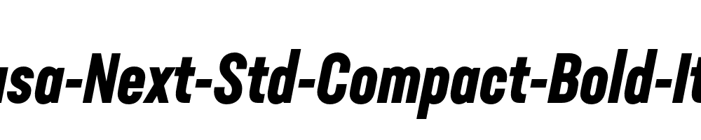 Neusa-Next-Std-Compact-Bold-Italic