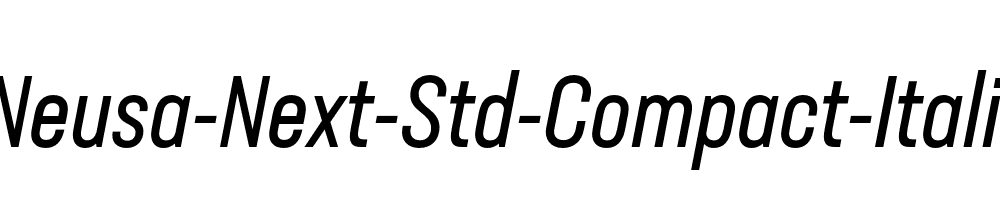 Neusa-Next-Std-Compact-Italic