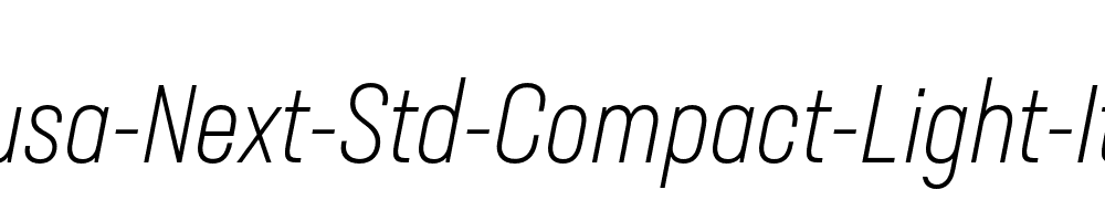 Neusa-Next-Std-Compact-Light-Italic