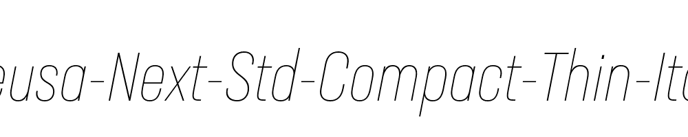 Neusa-Next-Std-Compact-Thin-Italic