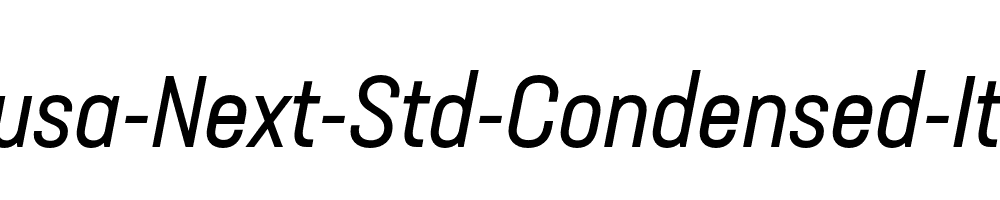 Neusa-Next-Std-Condensed-Italic