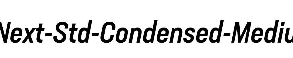 Neusa-Next-Std-Condensed-Medium-Italic