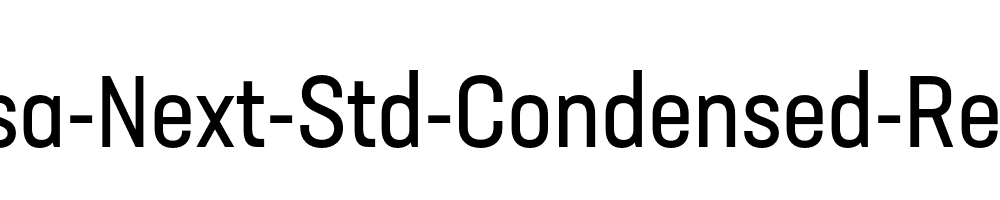 Neusa-Next-Std-Condensed-Regular