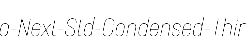 Neusa-Next-Std-Condensed-Thin-Italic