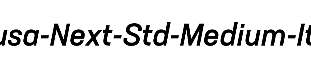 Neusa-Next-Std-Medium-Italic