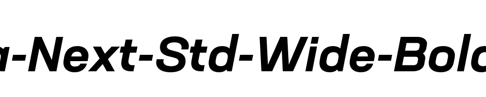 Neusa-Next-Std-Wide-Bold-Italic