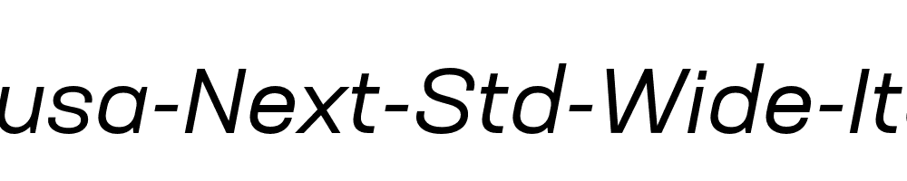 Neusa-Next-Std-Wide-Italic