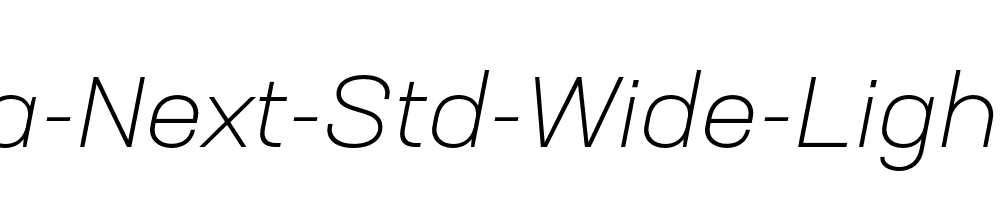 Neusa-Next-Std-Wide-Light-Italic