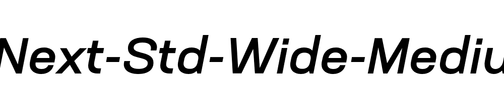 Neusa-Next-Std-Wide-Medium-Italic