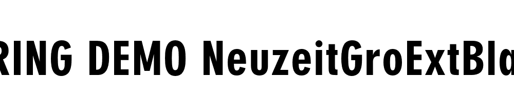  DEMO NeuzeitGroExtBla Regular