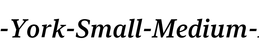 New-York-Small-Medium-Italic