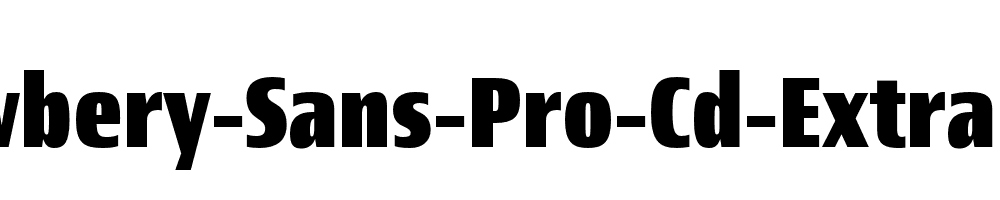 Newbery-Sans-Pro-Cd-ExtraBold