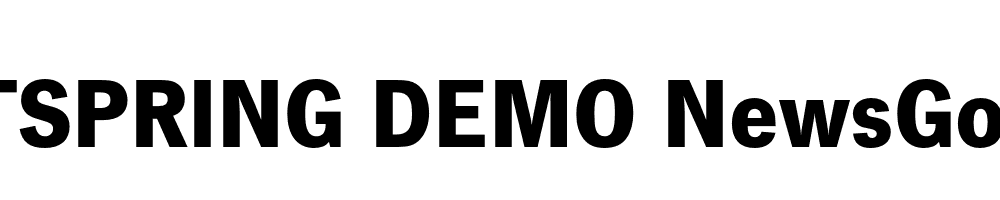  DEMO NewsGot Bold