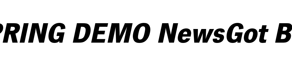  DEMO NewsGot Bold Italic