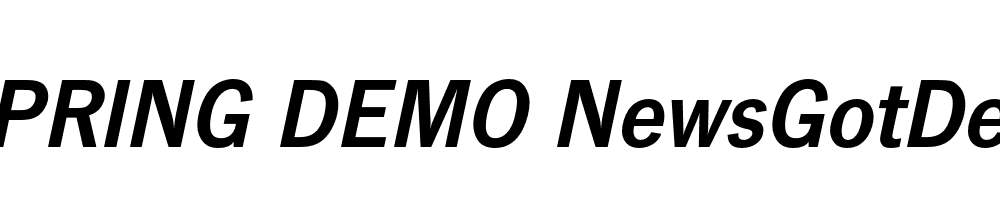  DEMO NewsGotDem Italic