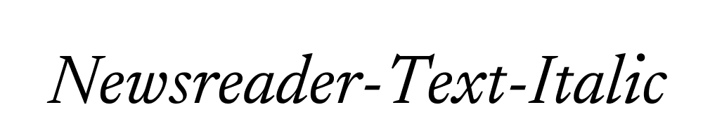 Newsreader-Text-Italic