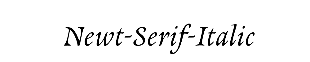 Newt-Serif-Italic