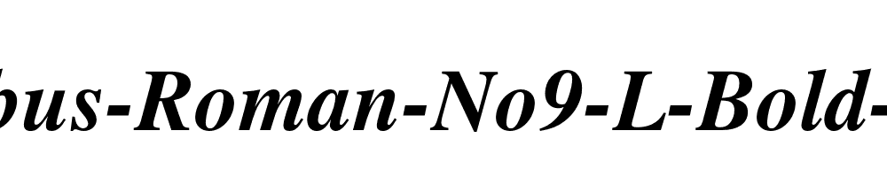 Nimbus-Roman-No9-L-Bold-Italic