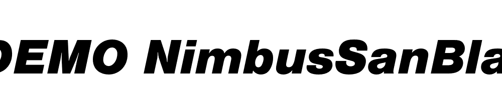 FSP DEMO NimbusSanBla Italic