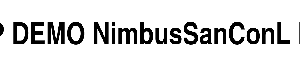 FSP DEMO NimbusSanConL Bold