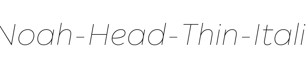 Noah-Head-Thin-Italic