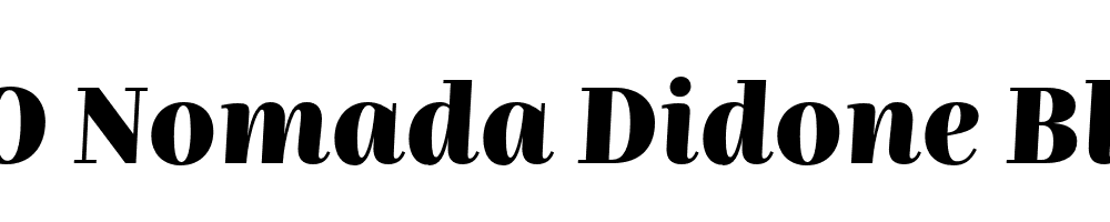 FSP DEMO Nomada Didone Black Italic